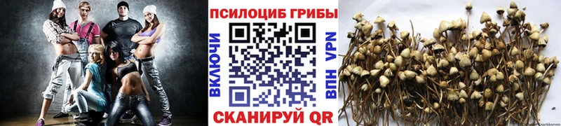 Псилоцибиновые грибы прущие грибы  kraken ССЫЛКА  Лангепас 